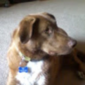 Meet your Posher, Tina